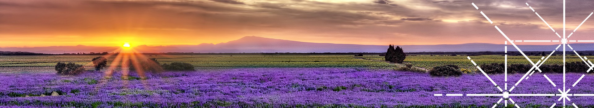 coucher-de-soleil-lavandes-vignes-95