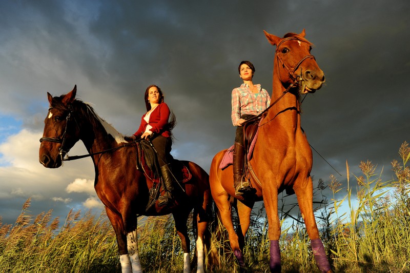 Équitation