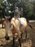 équitation enfant avec Terre à Cheval