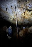 Grotte Forestière racine géante bi-centenaire