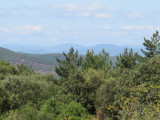Pierres de Soleil : Roulotte en bois