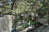 Bois des musiciens Ardèche
