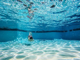Piscine canva