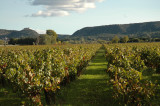 Domaine Viticole Domaine de Sévanes