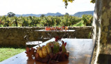 Domaine Viticole Domaine de Sévanes