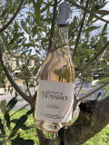 Domaine de Taumassou_Carsan
