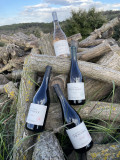 Domaine de Taumassou_Carsan