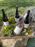 Domaine de Taumassou_Carsan