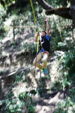 saut de tarzan