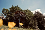Aura Cabana