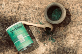 Spiruline du Domaine Algal