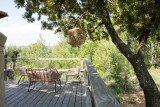 Les Yourtes de Provence : Darwin