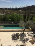 Les Yourtes de Provence : Darwin
