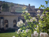 Chatreuse du Val de Bénédiction