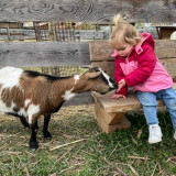 Farm: Au bonheur des animaux_La Garde-Adhémar