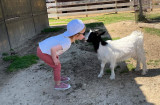 Farm: Au bonheur des animaux_La Garde-Adhémar