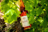 La cuvée rosé de Tavel Trinité du Château de Manissy dans les vignes