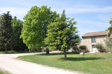 Lou mouli d'oli