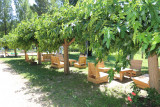 Guinguette La Plage