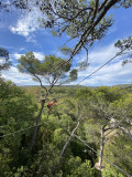 Cordes aux cîmes