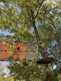 Palissade en bois