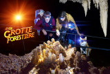 Grotte forestière choux fleurs