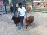 Parc animalier à Lussas