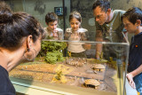 cité préhistoire