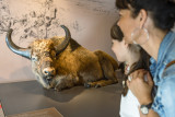 musée