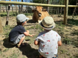 parc_animalier_vagnasenfant_maggie.jpg