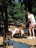 dscn8663.jpg