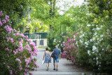 Flower Camping Le Saint Michelet