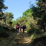 img_20230503_094748.jpg
