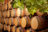 Les fûts du domaine dans la cave de vinification