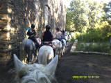 Randonnée équestre en bord de Cèze