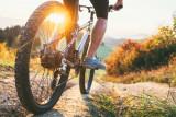 Face Sud bike