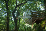 Natura Lodge - Bulle accrochée dans les arbres