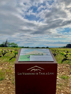 Panneau sentier vignerons de Tavel
