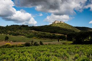 Château de Gicon