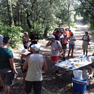 Picnic: play, move, sport