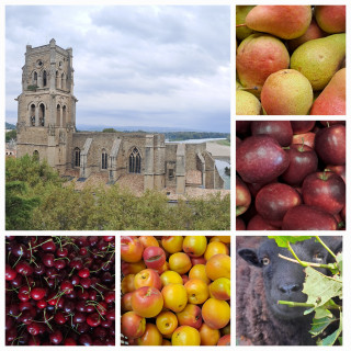 Fruits de saison