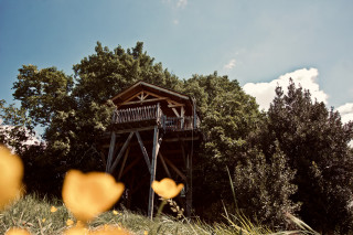 Aura Cabana