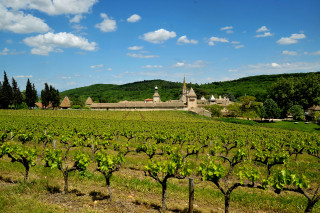 Chartreuse de Valbonne