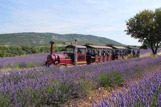 Tour en train