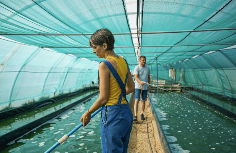 Céline et Sébastien Dalonis