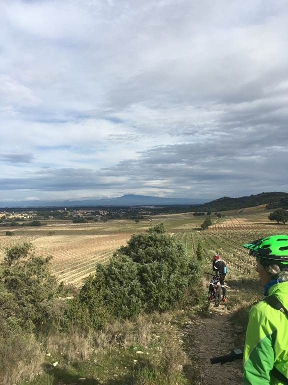 800x600_lsplar0300000682_6316ede0_3cd5_446c_b4e9_5f89d8e9acda_provence_bike_tour_paysage.jpg