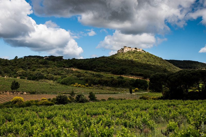 Château de Gicon