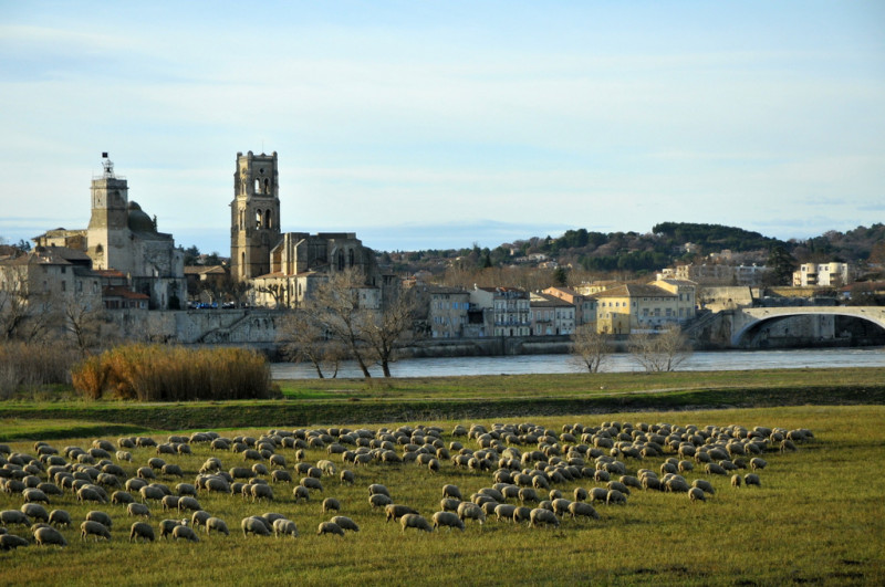 Pont Saint Esprit