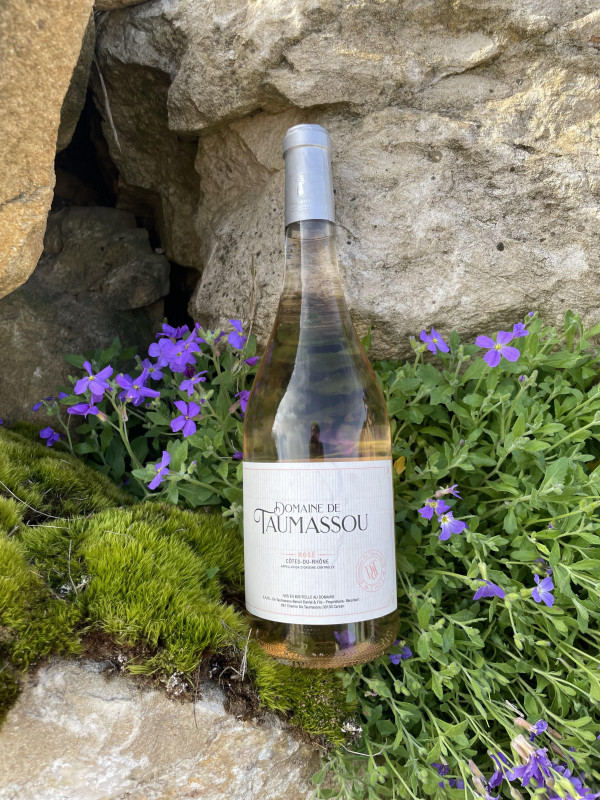 Domaine de Taumassou_Carsan_rosé
