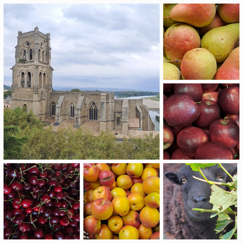 Fruits de saison